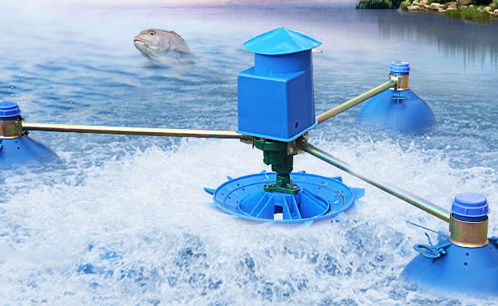 水產(chǎn)養(yǎng)殖 水產(chǎn)養(yǎng)殖